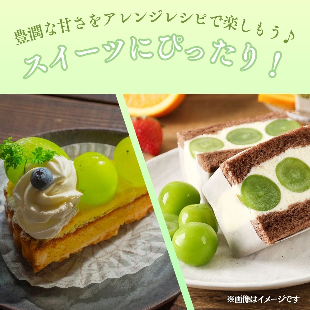 【2026年発送 先行予約】【梅村ファーム】朝摘み直送 シャインマスカット（3～5房入り 約2.0kg）