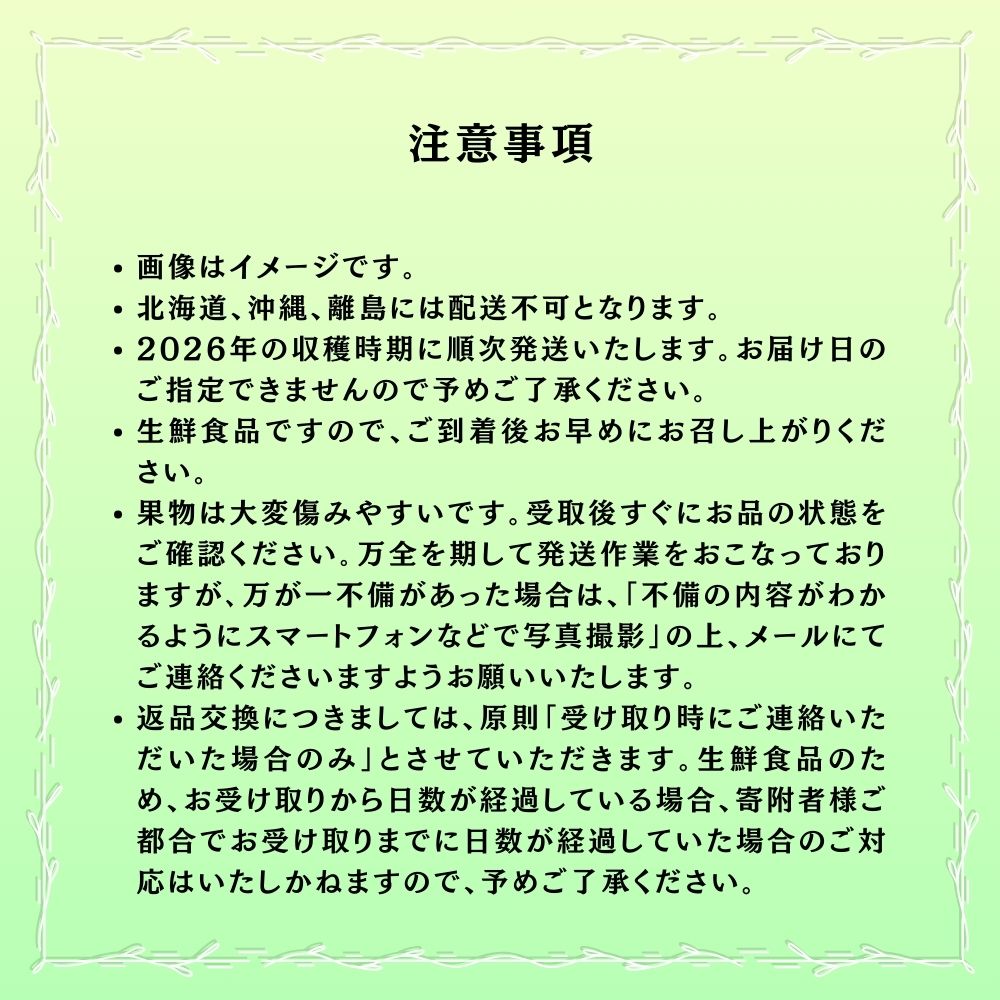 【2026年発送 先行予約】【梅村ファーム】朝摘み直送 シャインマスカット（3～5房入り 約2.0kg）