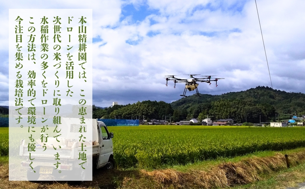 令和７年産 鏡野町産 きぬむすめ 精米10kg（5kg×2袋）