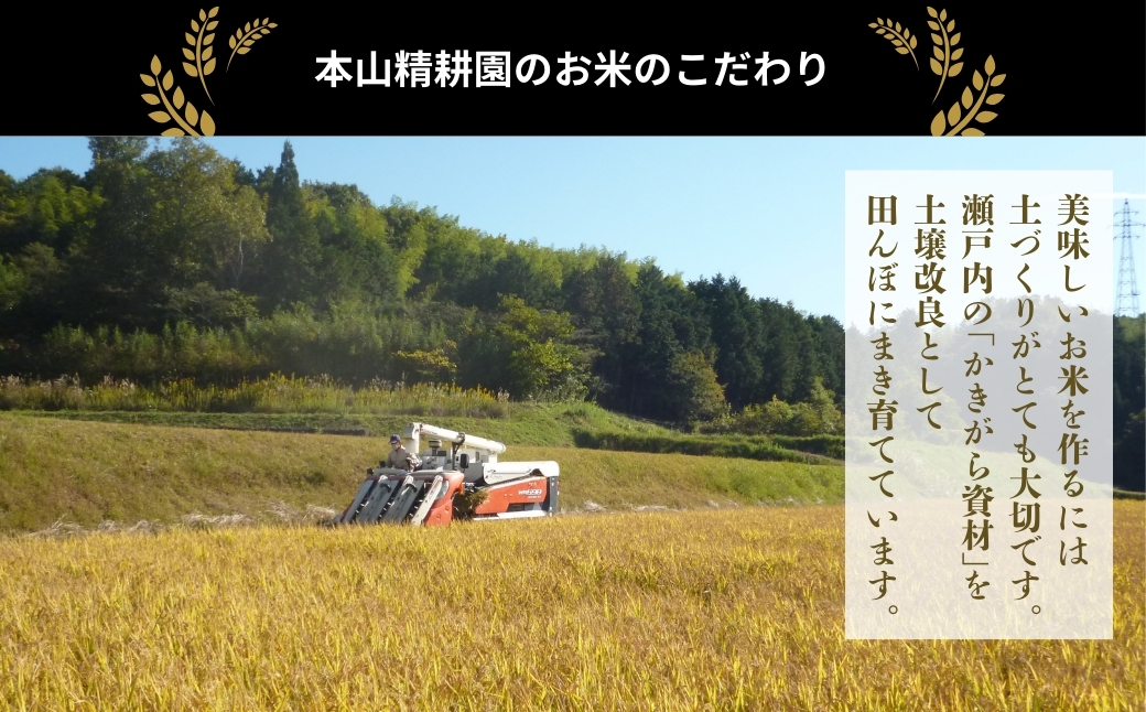 令和７年産 鏡野町産 きぬむすめ 精米5kg（5kg×1袋）