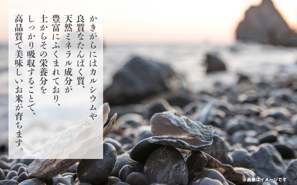 令和７年産 鏡野町産 きぬむすめ 精米5kg（5kg×1袋）