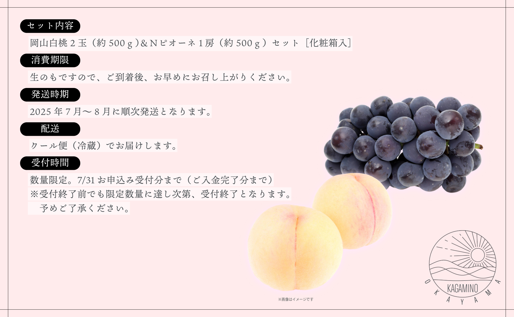 岡山白桃2玉（約500ｇ）＆Ｎピオーネ1房（約500ｇ）化粧箱入