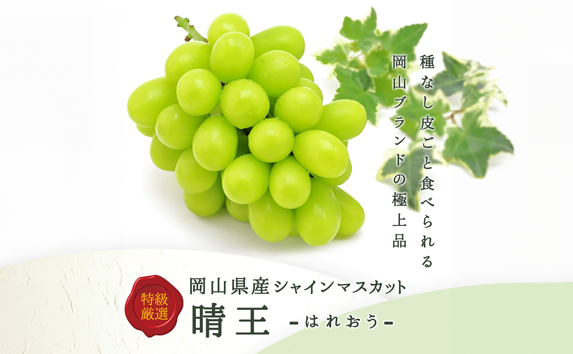 岡山白桃2玉（約500ｇ）＆シャインマスカット晴王1房（約500ｇ）化粧箱入