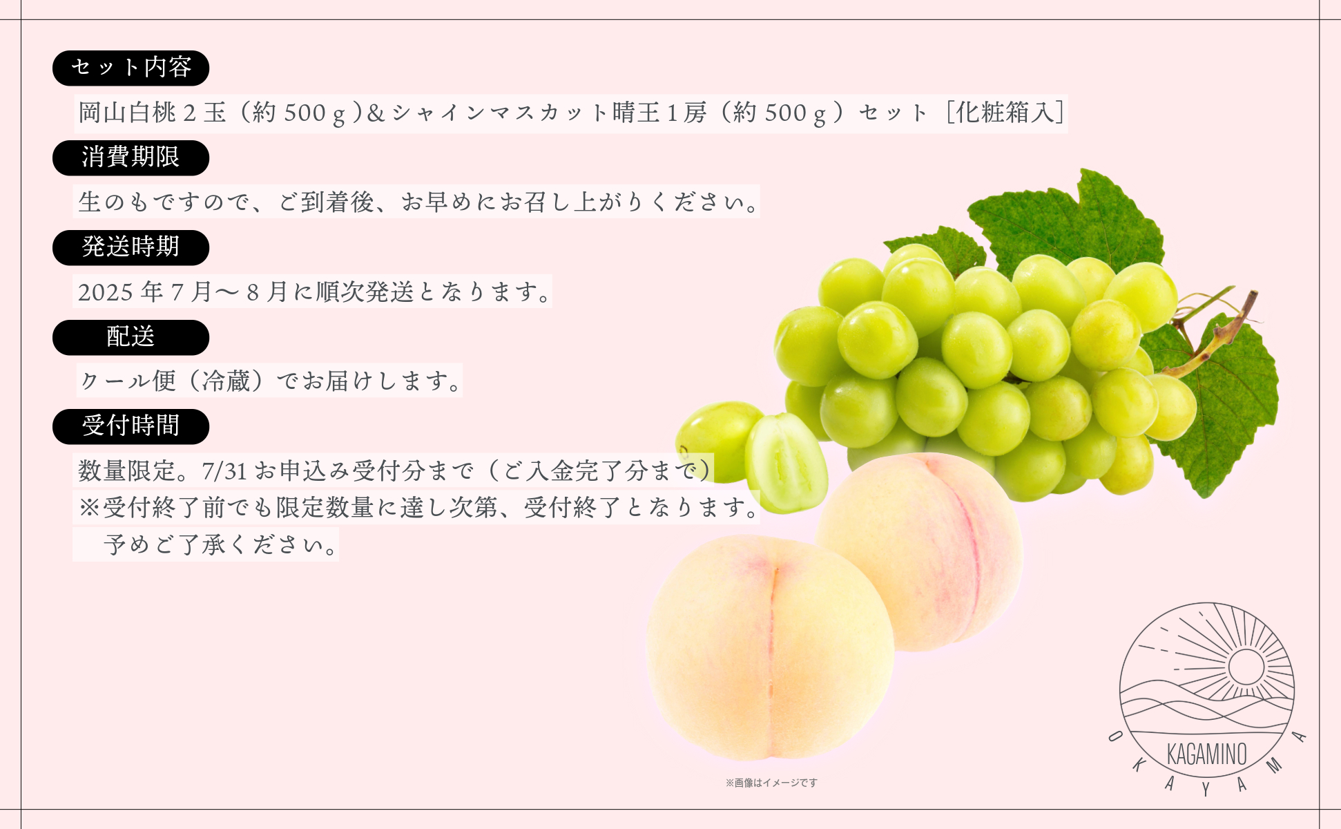 岡山白桃2玉（約500ｇ）＆シャインマスカット晴王1房（約500ｇ）化粧箱入