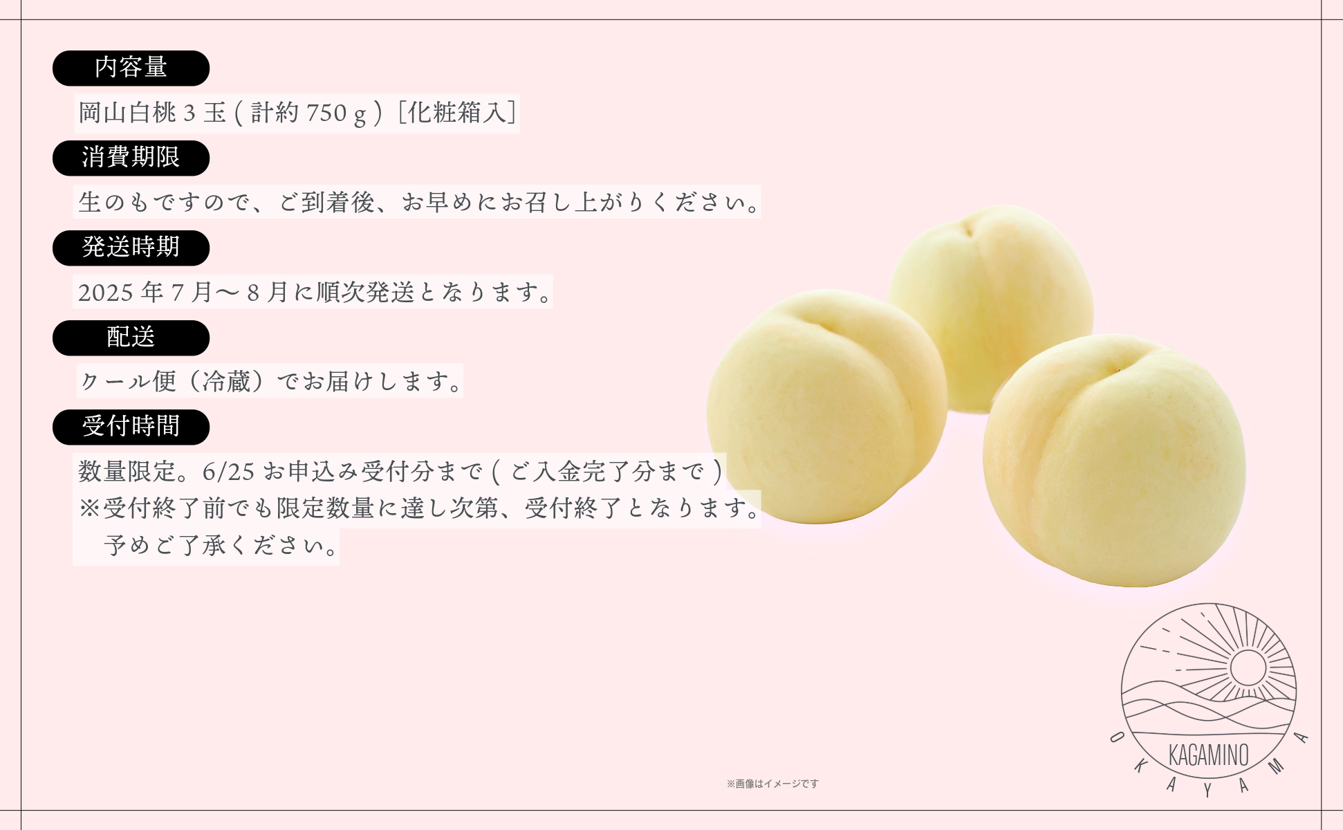 岡山白桃3玉（計約750ｇ）化粧箱入