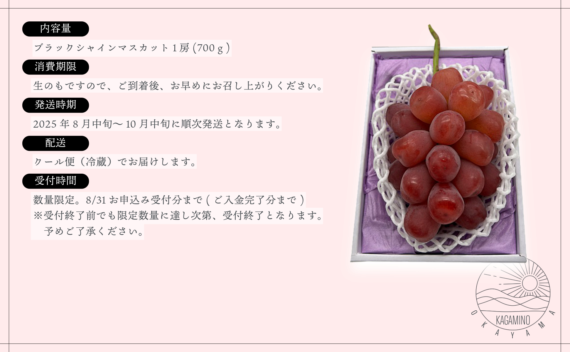 ブラックシャインマスカット1房（700ｇ）