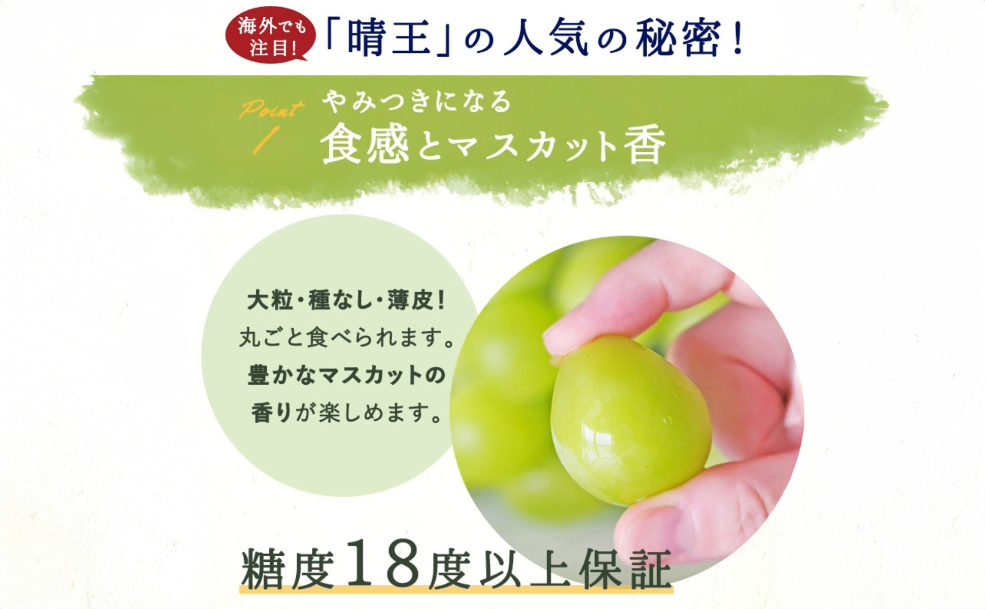 シャインマスカット晴王3～5房（約2ｋｇ）