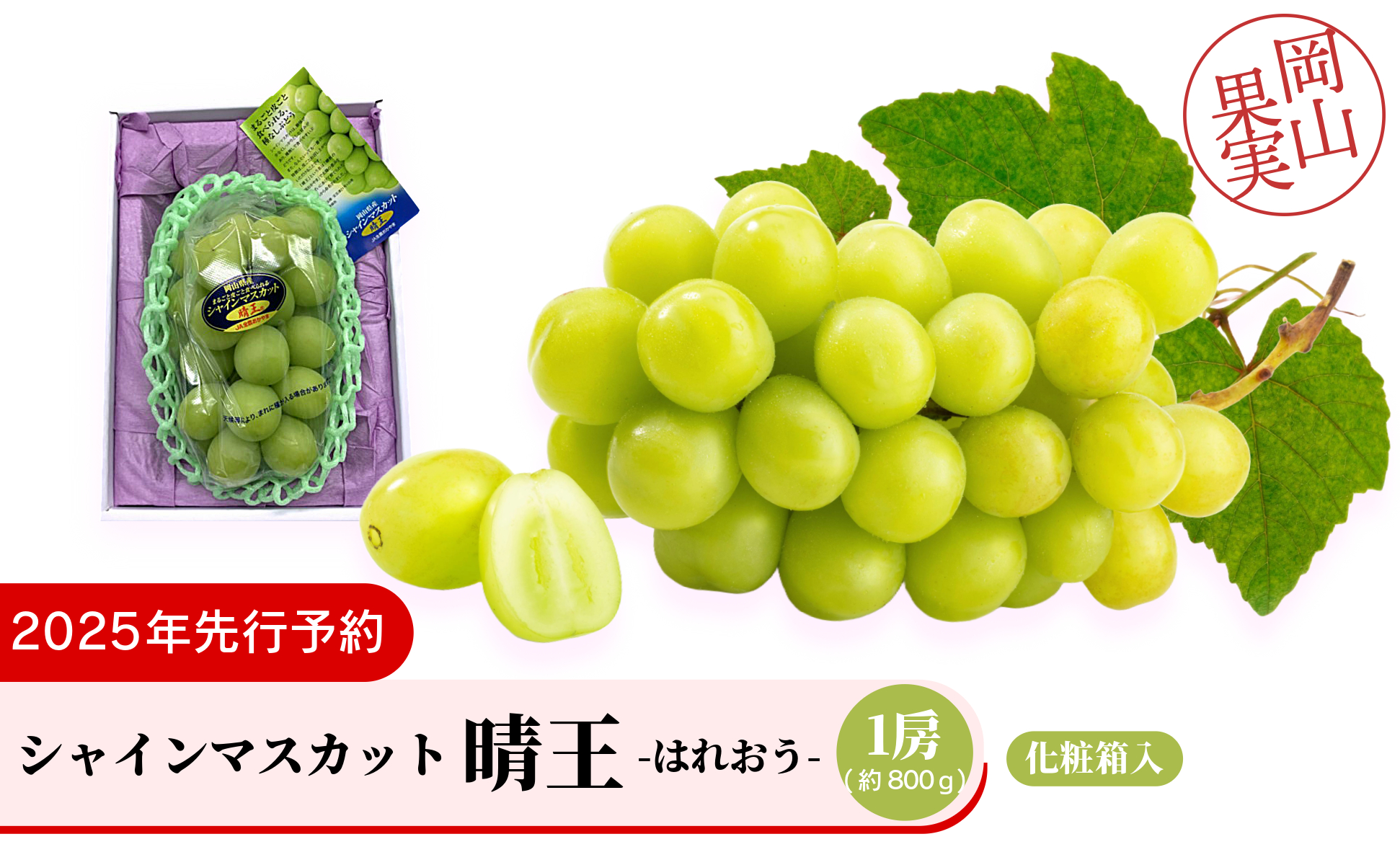 シャインマスカット晴王1房（約800ｇ）化粧箱入