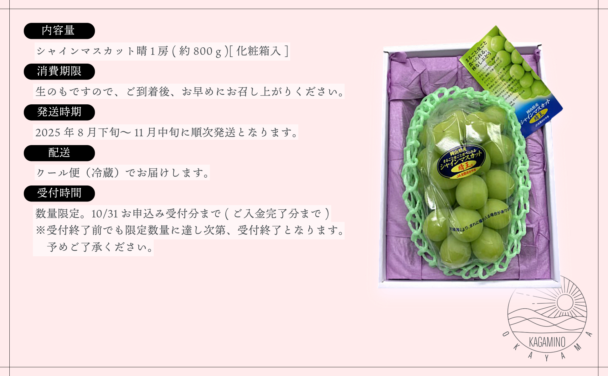 シャインマスカット晴王1房（約800ｇ）化粧箱入