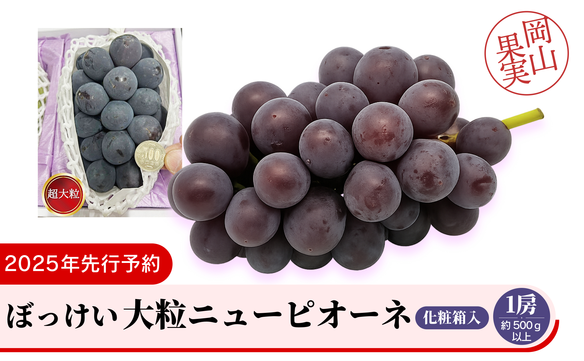 ぼっけえ大粒ニューピオーネ1房（約800ｇ以上）化粧箱入