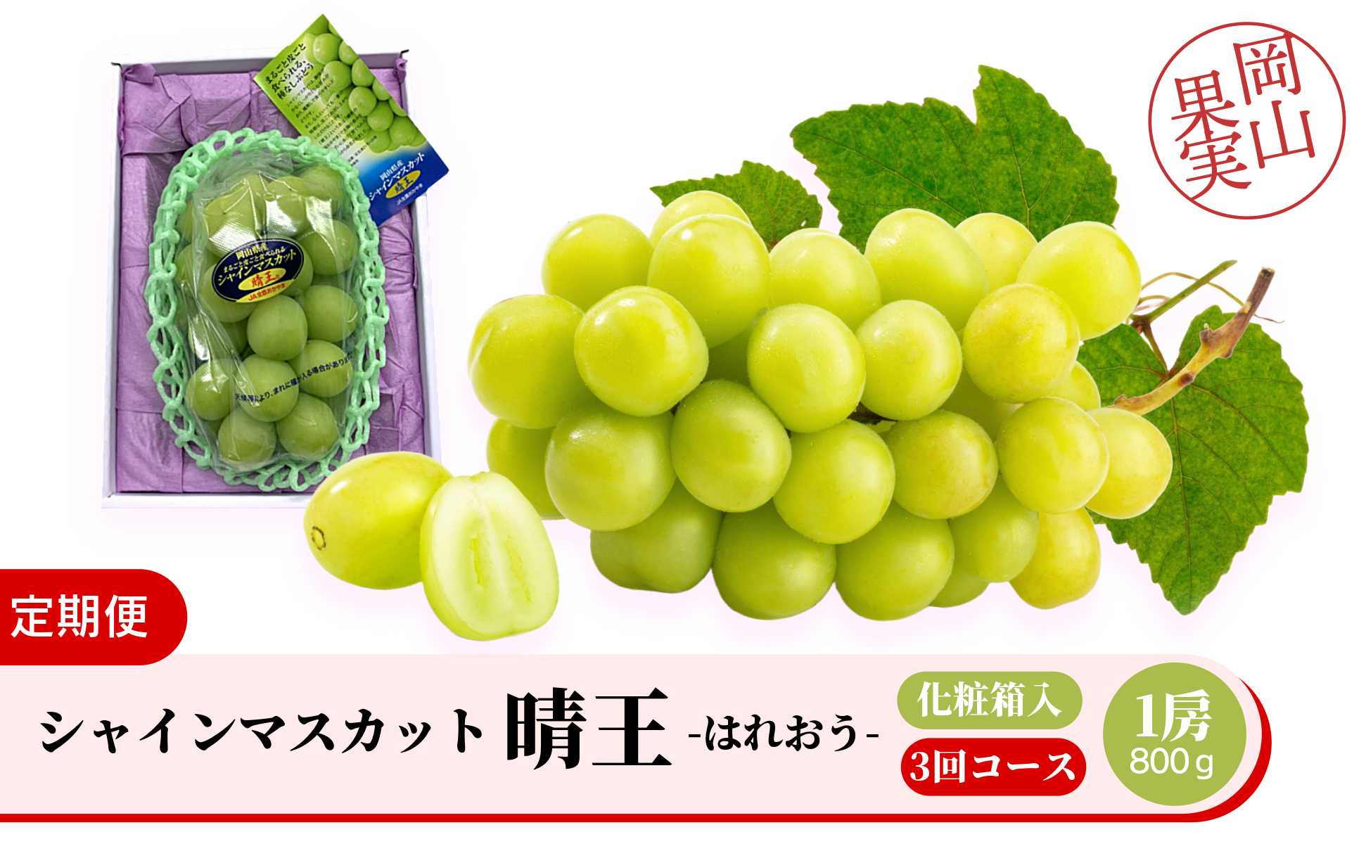 ＜定期便全3回＞シャインマスカット晴王1房800ｇ化粧箱入　3回コース