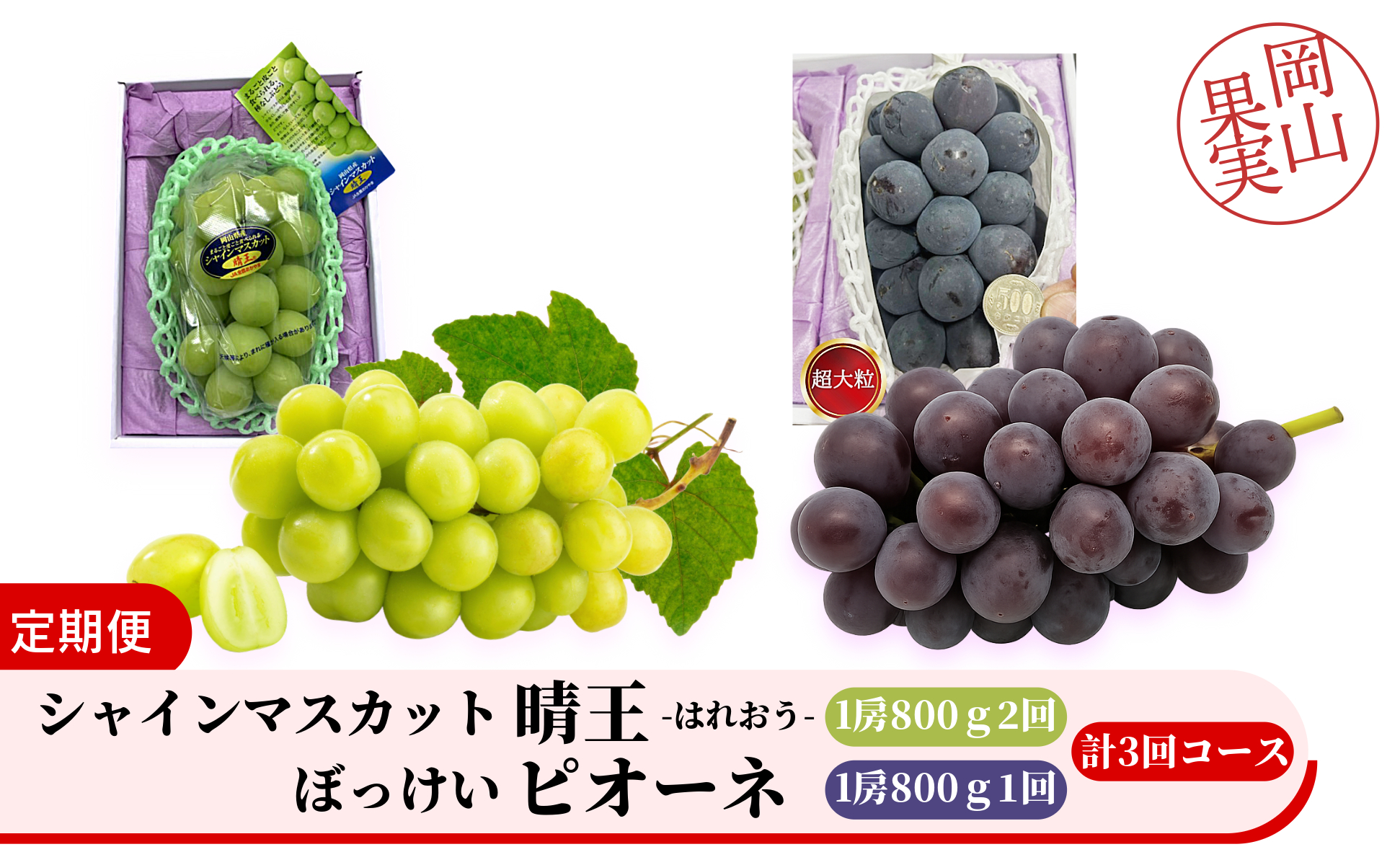 ＜定期便全3回＞シャインマスカット晴王1房800ｇ2回とぼっけぇピオーネ1房800ｇ1回の計3回コース