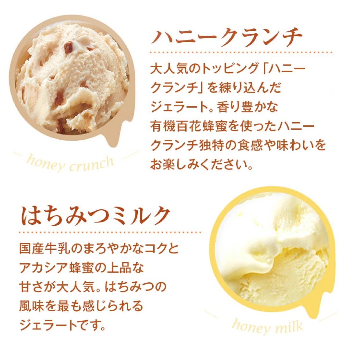 はちみつジェラート12個入（26590）