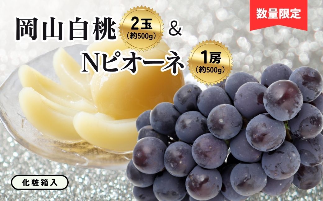 岡山白桃2玉（約500ｇ）＆Ｎピオーネ1房（約500ｇ）化粧箱入