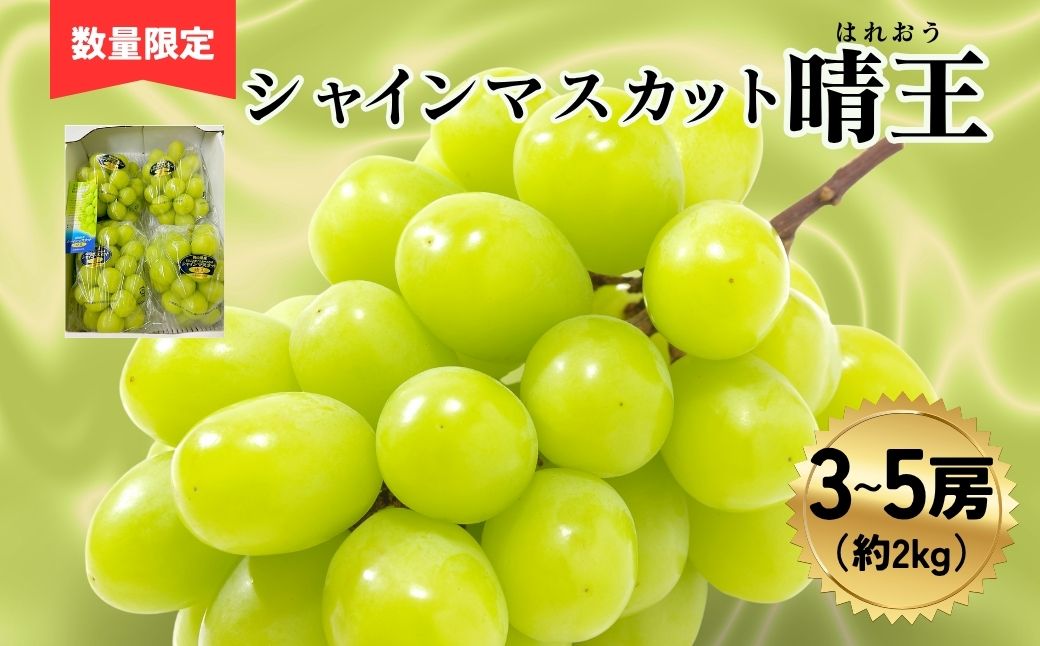 シャインマスカット晴王3～5房（約2ｋｇ）
