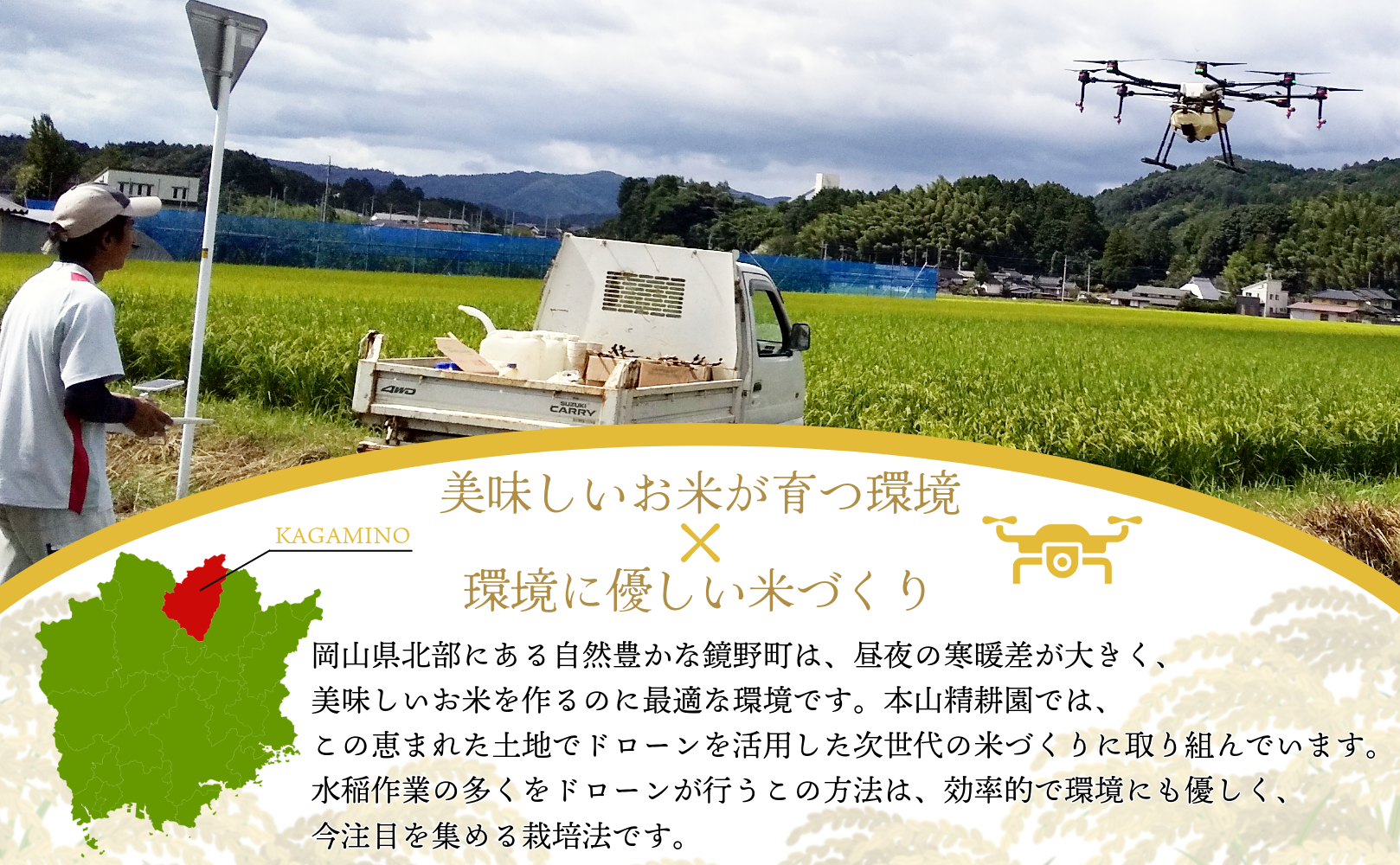 令和７年産 鏡野町産 きぬむすめ 精米10kg（10kg×1袋）［2025年12月発送］