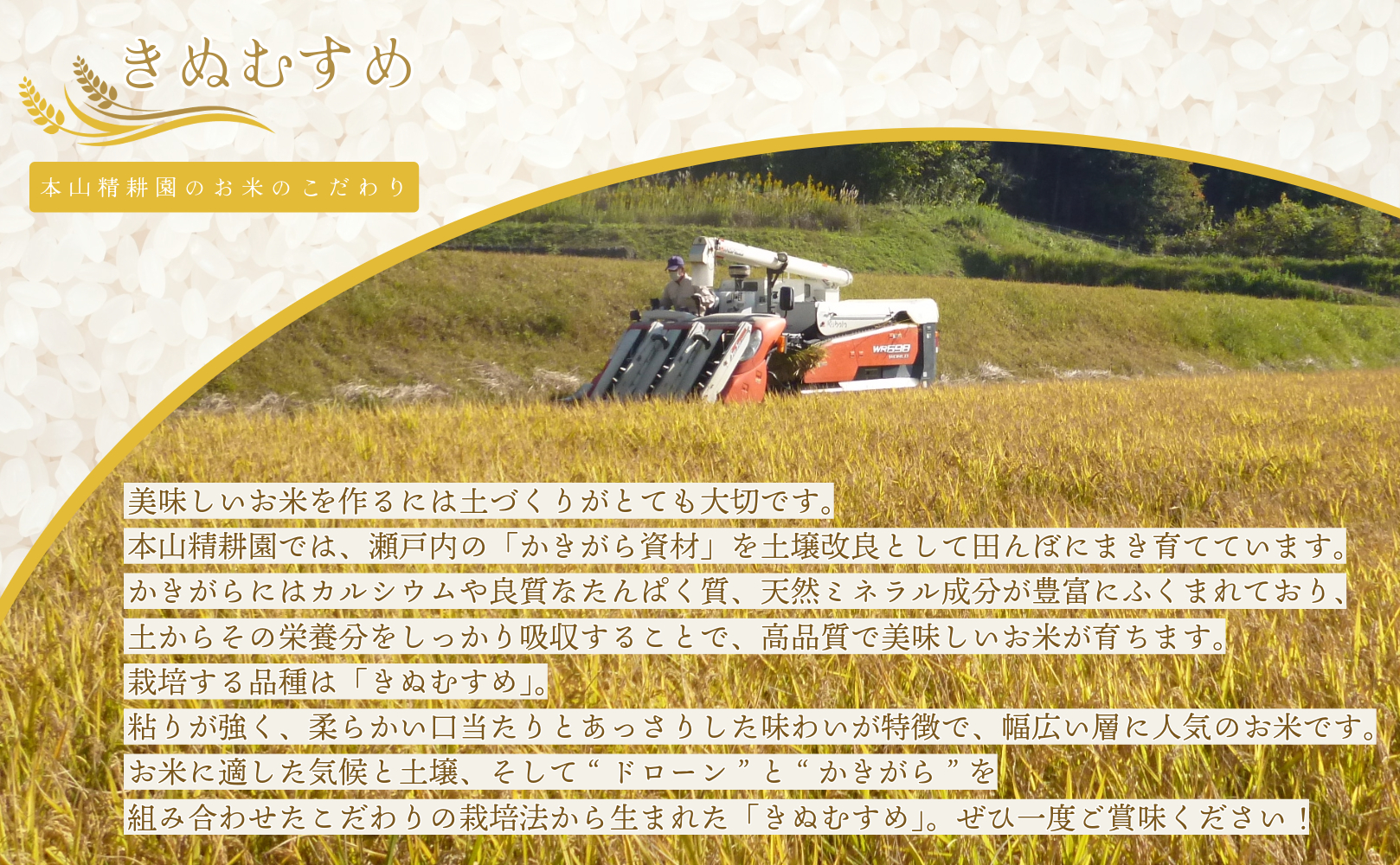 令和７年産 鏡野町産 きぬむすめ 精米10kg（10kg×1袋）［2025年12月発送］