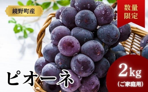 【期間限定】鏡野町産 ピオーネ 2kg（ご家庭用）