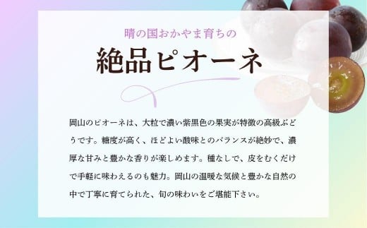 【期間限定】鏡野町産 ピオーネ 2kg（ご家庭用）