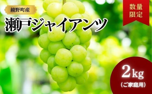 【期間限定】鏡野町産 瀬戸ジャイアンツ 2kg（ご家庭用）