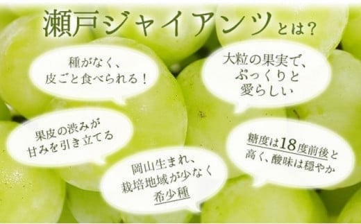 【期間限定】鏡野町産 瀬戸ジャイアンツ 2kg（ご家庭用）