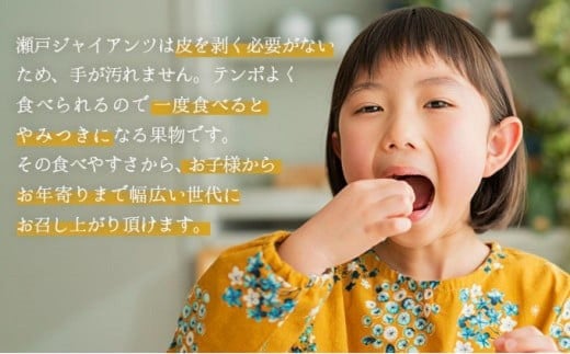 【期間限定】鏡野町産 瀬戸ジャイアンツ 2kg（ご家庭用）