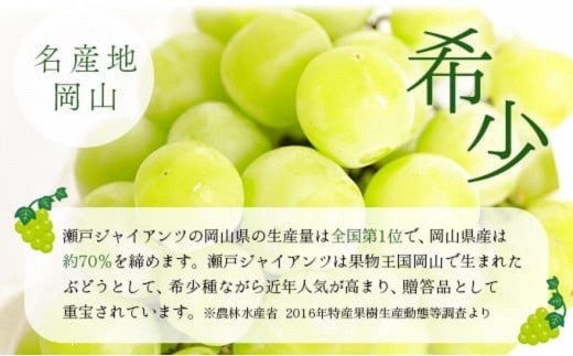 【期間限定】鏡野町産 瀬戸ジャイアンツ 2kg（ご家庭用）