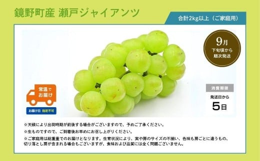 【期間限定】鏡野町産 瀬戸ジャイアンツ 2kg（ご家庭用）