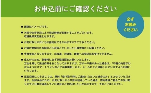 【期間限定】鏡野町産 瀬戸ジャイアンツ 2kg（ご家庭用）