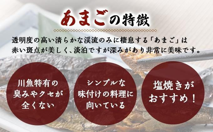 冷凍あまご10尾セット（串付き）
