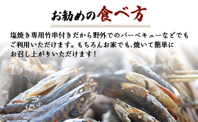 冷凍あまご10尾セット（串付き）