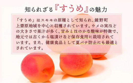 ぼっけぇうまい！大和煮＆す梅セット