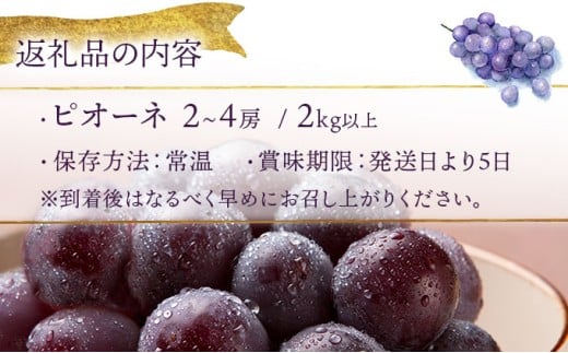 【期間限定】鏡野町産 ピオーネ 2kg（3～4房）