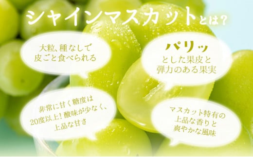【期間限定】鏡野町産 シャインマスカット 2kg（2～4房）
