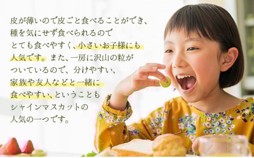 【期間限定】鏡野町産 シャインマスカット 2kg（2～4房）