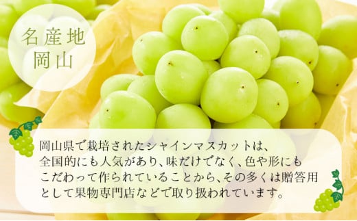 【期間限定】鏡野町産 シャインマスカット 2kg（2～4房）
