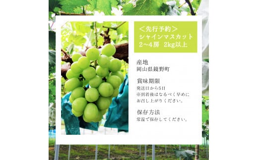 【期間限定】鏡野町産 シャインマスカット 2kg（2～4房）