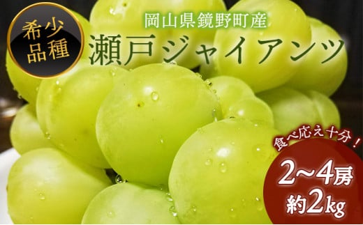【期間限定】鏡野町産 瀬戸ジャイアンツ 2kg（2～4房）