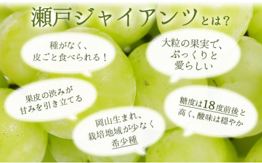 【期間限定】鏡野町産 瀬戸ジャイアンツ 2kg（2～4房）
