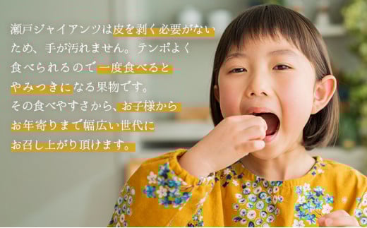 【期間限定】鏡野町産 瀬戸ジャイアンツ 2kg（2～4房）