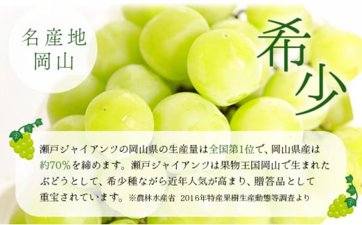 【期間限定】鏡野町産 瀬戸ジャイアンツ 2kg（2～4房）