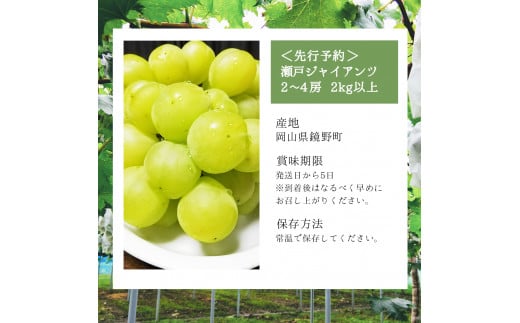 【期間限定】鏡野町産 瀬戸ジャイアンツ 2kg（2～4房）