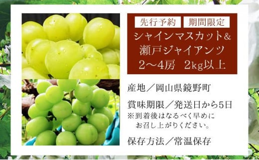【期間限定】鏡野町産 シャインマスカット＆瀬戸ジャイアンツセット 2kg（2～4房）