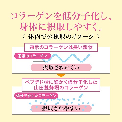 ＜定期便全6回＞コラーゲン〈１袋（300粒）〉(28066)×6回