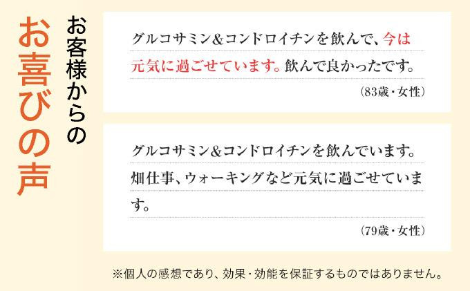 ＜定期便全6回＞グルコサミン＆コンドロイチン（28313）×6回