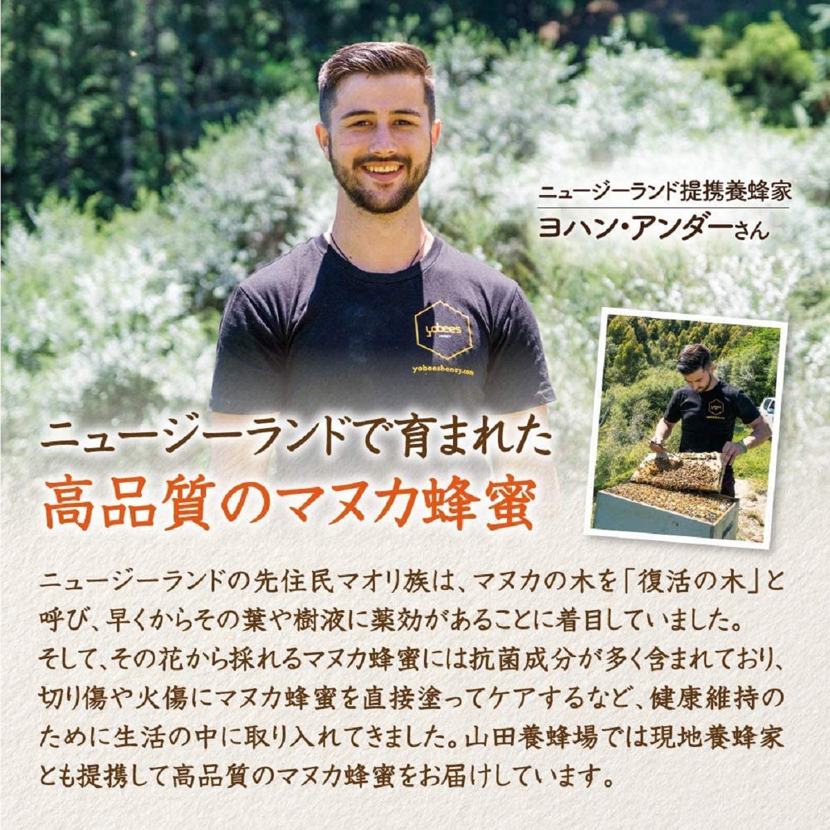 ＜定期便全3回＞マヌカ蜂蜜MG50+(クリームタイプ)200g(22158)×3回