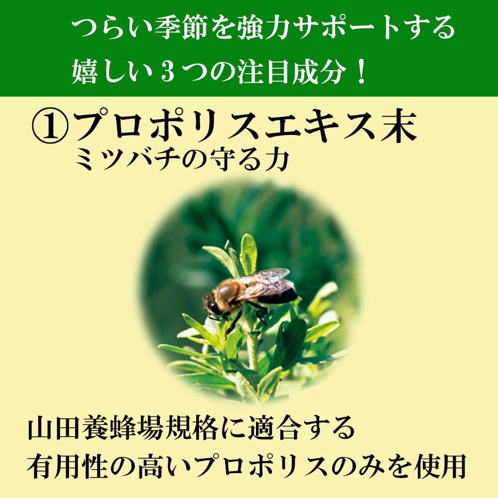 花粉ケアＥＸ（11177）