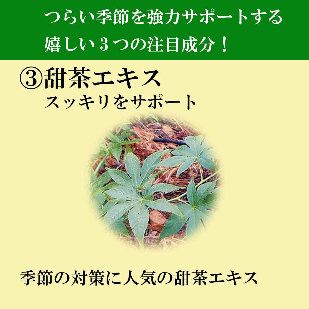 花粉ケアＥＸ（11177）