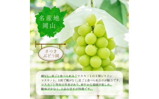 【ギフト】岡山県産 冬のシャインマスカット 1房 600g以上【2025年12月発送】