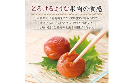 山田養蜂場の鏡野町産れんげ米＆はちみつ梅干（21876）